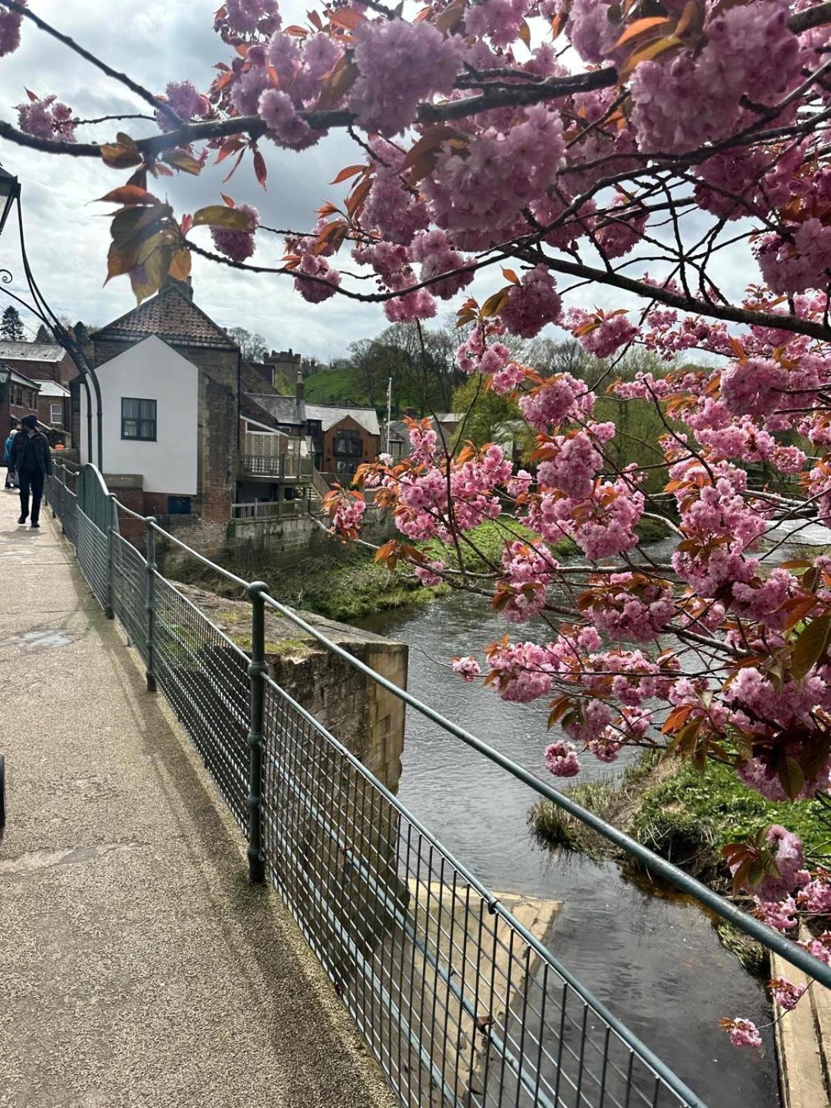 Town Center Cottage With Hot Tub 몰페스 외부 사진